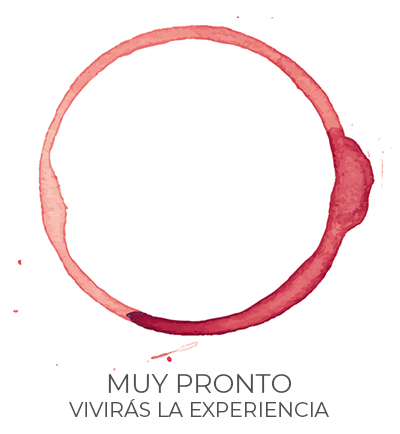 DiVino
